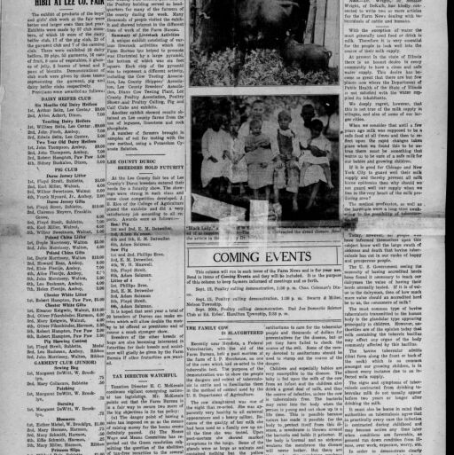 Illinois Digital Newspaper Collection Digital Collections at the