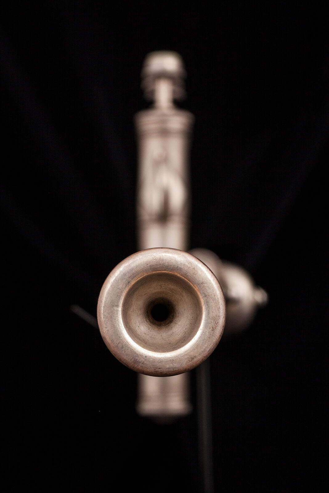 Herald Trumpet Digital Collections at the University of Illinois at