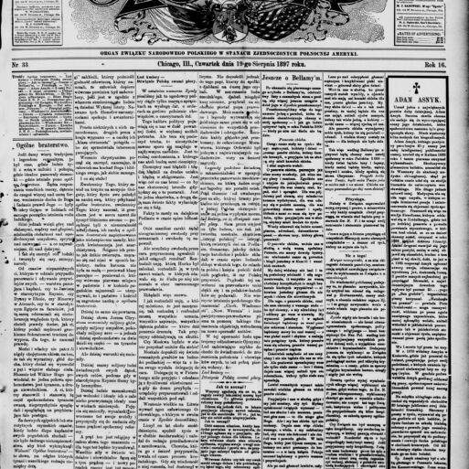 Illinois Digital Newspaper Collection | Digital Collections at the ...